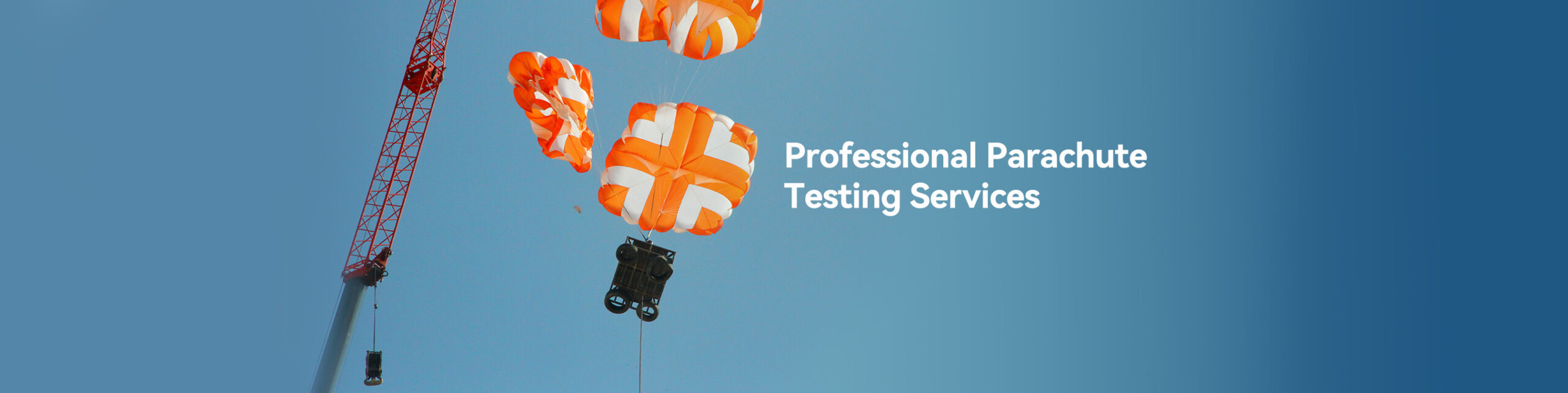 Rachel要的官网 拷1